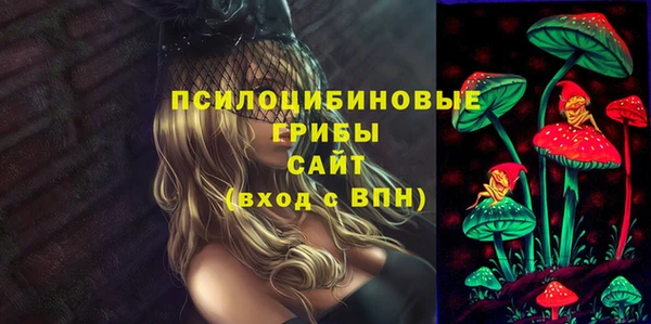 гашик Гусиноозёрск