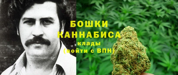 MESCALINE Гусев